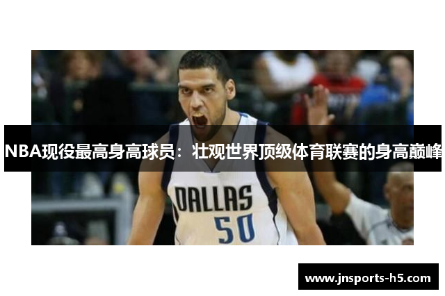 NBA现役最高身高球员：壮观世界顶级体育联赛的身高巅峰